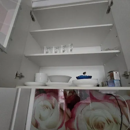 شقة Roses *