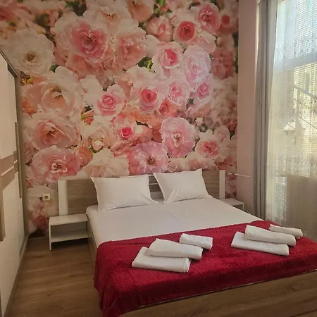 Roses 索菲亞